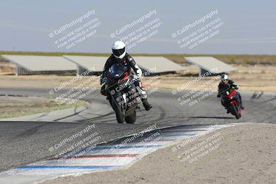 media/Oct-29-2023-Carters at The Track (Sun) [[b2bb4383ab]]/B Minus/2pm (Wheelie Bump)/